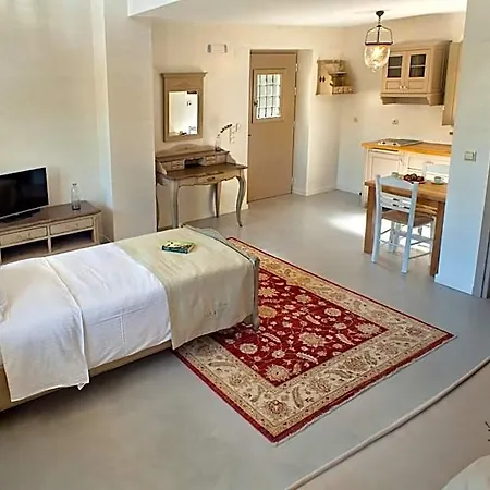 Hotel Haones 3*